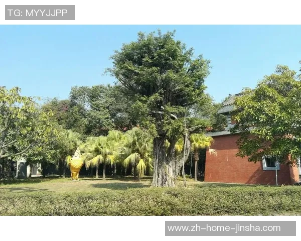 奥门金沙娱乐场app-夺金球惬意展开的环球一流攻略，金沙娱乐场」APP介绍之旅-奥门金沙娱乐场app